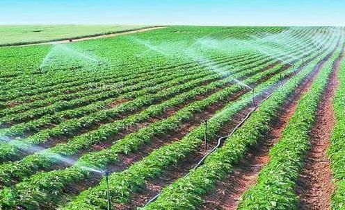 黑屌插屄农田高 效节水灌溉